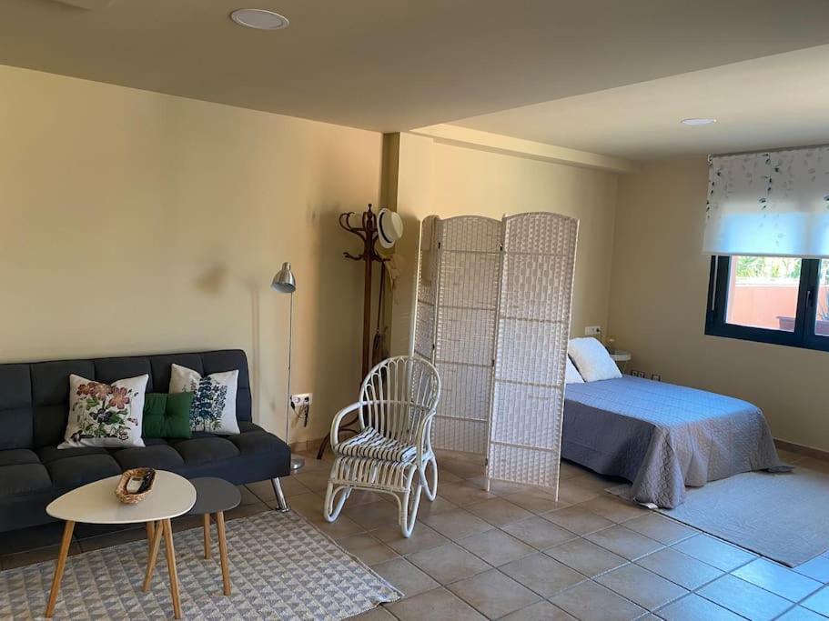 Apartamento Con Piscina En Alicante, Beniarbeig エクステリア 写真